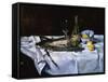 Le Saumon, c.1864-Edouard Manet-Framed Stretched Canvas