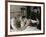 Le Seigneur by la Guerre THE WAR LORD by FranklinSchaffner with Rosemary Forsyth, Charlton Heston a-null-Framed Photo