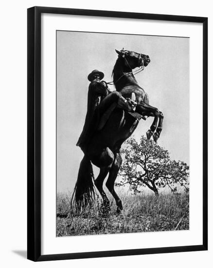 Le Signe De Zorro the Sign of Zorro De Norman Foster Et Lewis R. Foster Avec Guy Williams 1958-null-Framed Photo