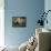 Le Singe peintre dit Intérieur d'atelier-Alexandre Gabriel Decamps-Framed Stretched Canvas displayed on a wall