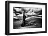 Le Soir-Stephane Pecqueux-Framed Photographic Print