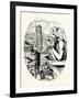 Le Stryge, the Grotesque at the Paris Notre Dame Cathedral, France-null-Framed Giclee Print