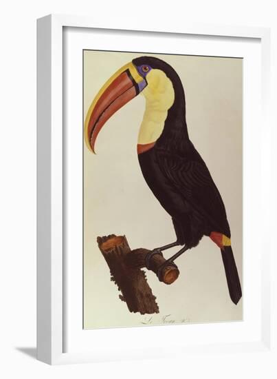 Le Tocan-Francois Levaillant-Framed Giclee Print