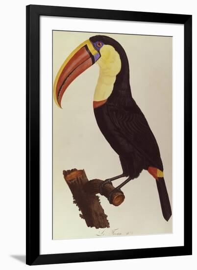 Le Tocan-Francois Levaillant-Framed Giclee Print