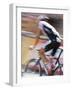 Le Tour De France, Foix, Ariege, Midi-Pyrenees, France-Doug Pearson-Framed Photographic Print