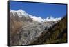 Le Tour glacier, autumn, Chamonix, Haute Savoie, Rhone Alpes, French Alps, France, Europe-Christian Kober-Framed Stretched Canvas