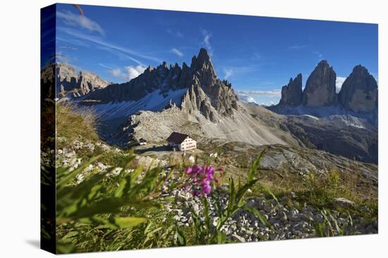 Le Tre Cime Di Laveredo, Dolomites, Trentino, South Tyrol, Italy-Katja Kreder-Stretched Canvas