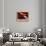 Le Triomphe de l'Aviation-null-Stretched Canvas displayed on a wall