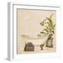 Le Tub II-Patricia Pinto-Framed Premium Giclee Print