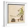 Le Tub II-Patricia Pinto-Framed Art Print