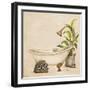 Le Tub II-Patricia Pinto-Framed Art Print