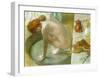 Le Tub-Edgar Degas-Framed Giclee Print