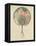 Le Vent Qui Passe Emporte La Jeunesse, 1899-Alphonse Mucha-Framed Stretched Canvas