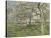 Le verger au printemps-Emile Claus-Stretched Canvas