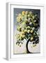White Frame