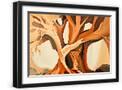 Black Frame