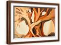 Brown Frame