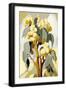Black Frame