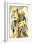 White Frame