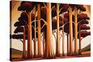Stretched Canvas