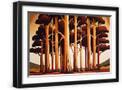 Black Frame
