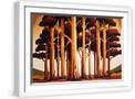 White Frame