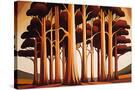 Stretched Canvas