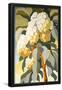 Essential Black
