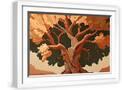 White Frame