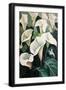Black Frame