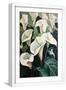 White Frame