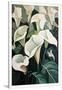 Gramercy White