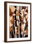 Brown Frame