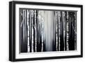 Black Frame