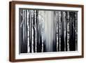 Brown Frame