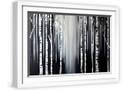 White Frame