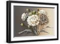 Black Frame