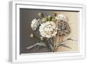 White Frame