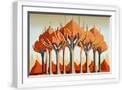 White Frame