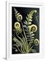 Gramercy White