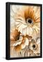 Essential Black