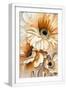 White Frame