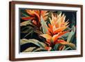 Brown Frame