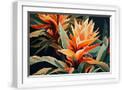 White Frame