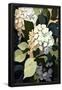 Essential Black