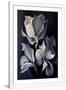 Gramercy White