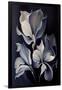 Gramercy Black