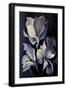 Black Frame