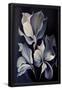 Essential Black