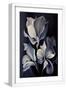 White Frame